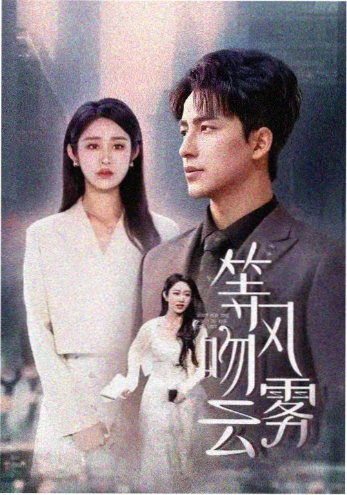 消失的她 电影海报